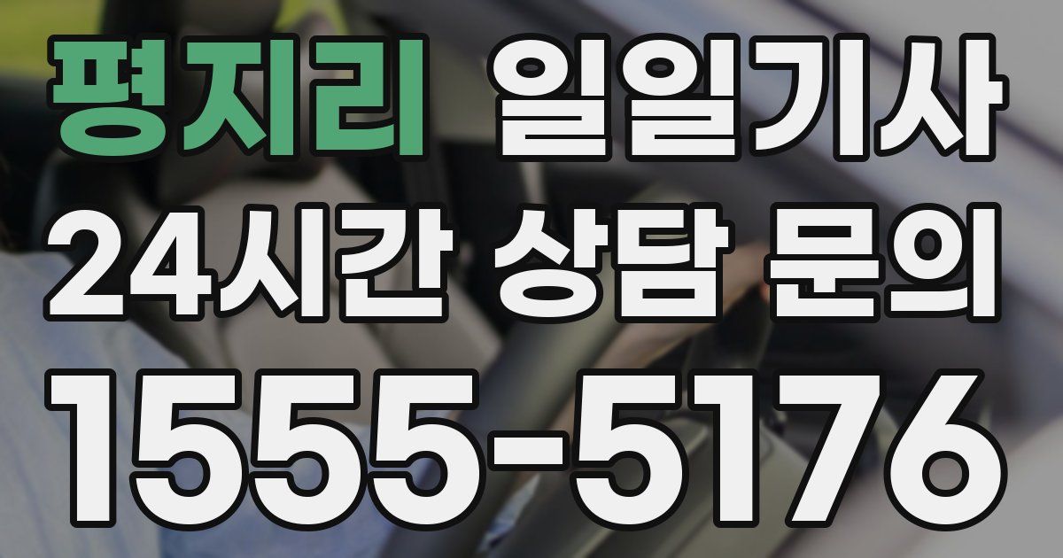 일일대리기사
