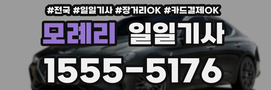 모례리 일일기사