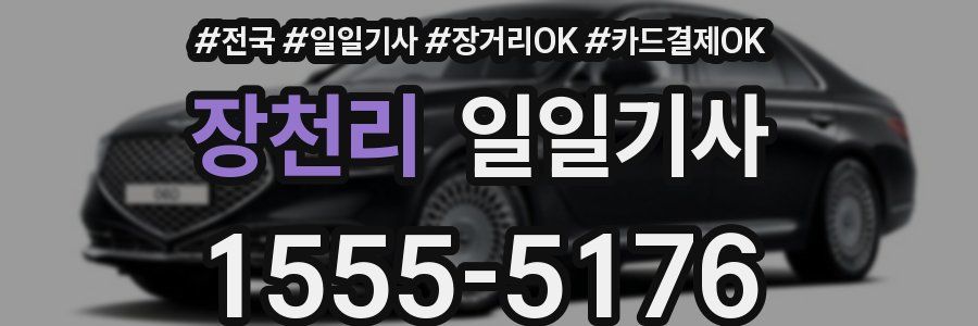 장천리 일일기사