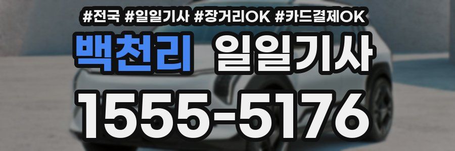 백천리 일일기사