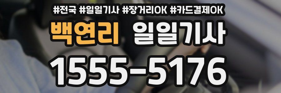 백연리 일일기사