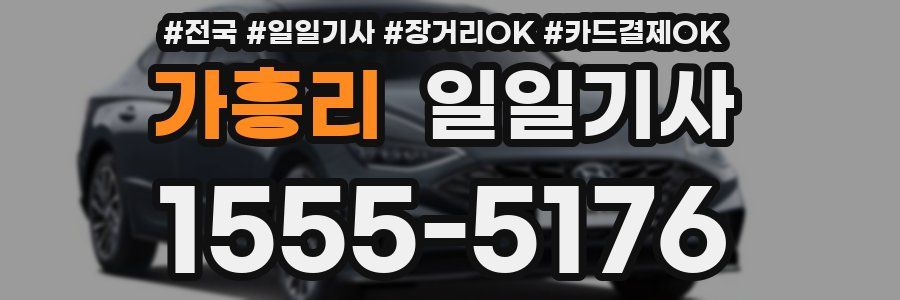 가흥리 일일기사