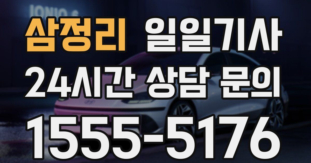 일일대리기사