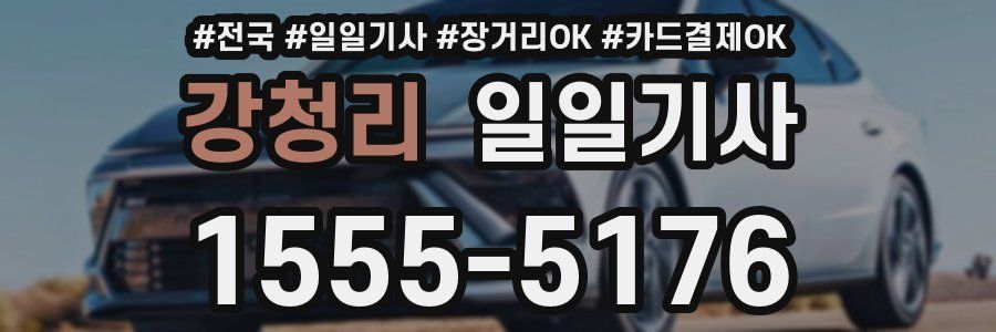 강청리 일일기사