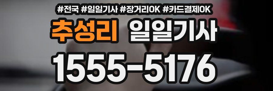 추성리 일일기사