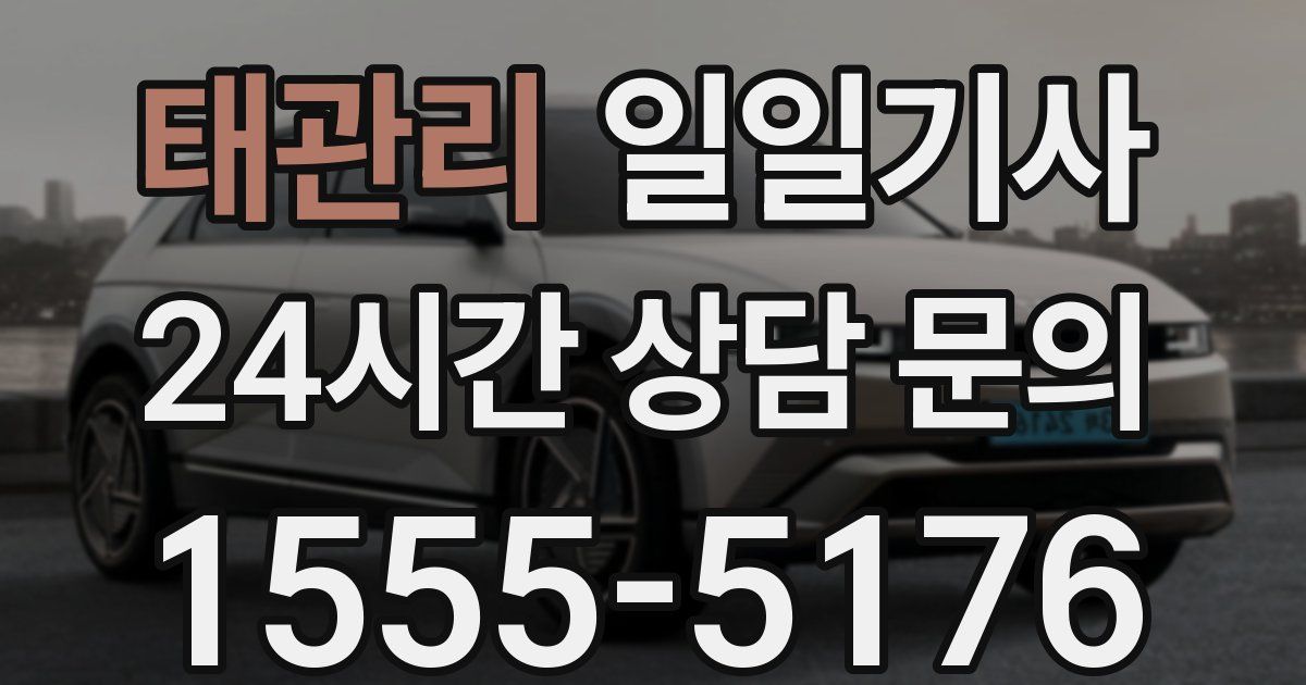 일일대리기사