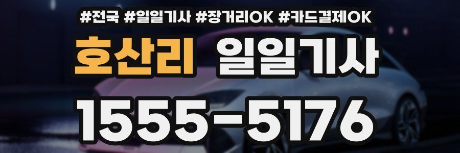 호산리 일일기사