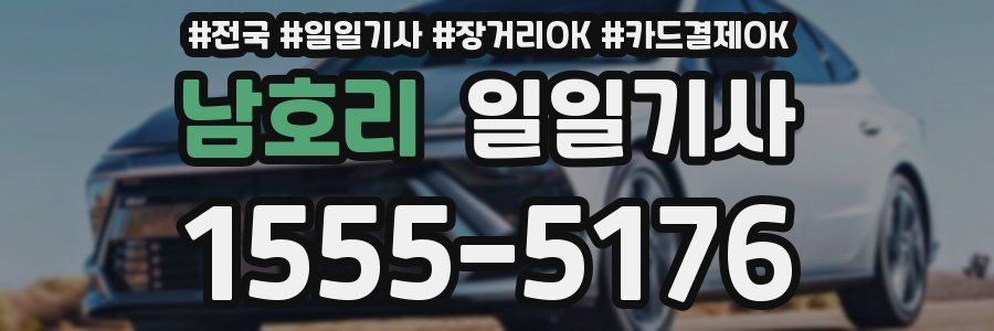 남호리 일일기사