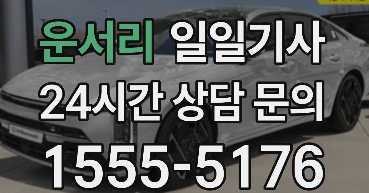 일일대리기사
