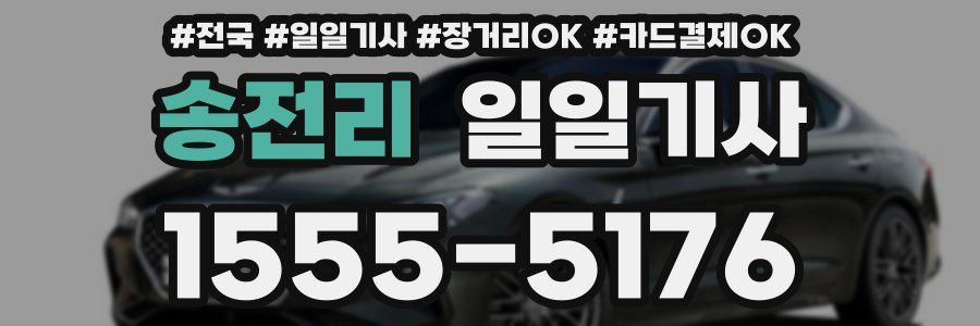 송전리 일일기사