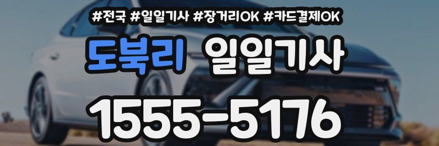 도북리 일일기사