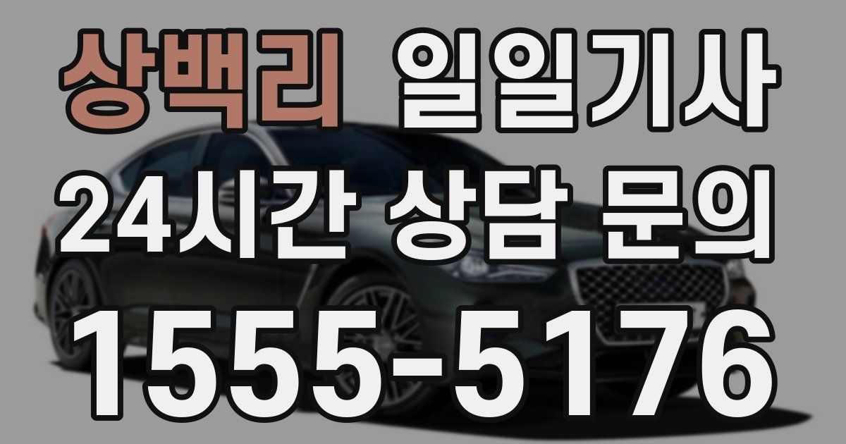 일일대리기사