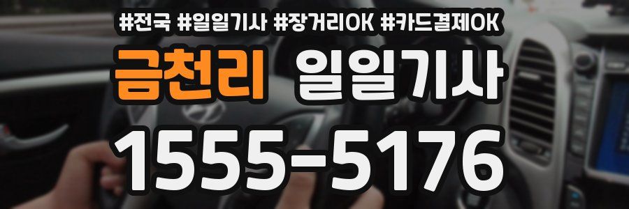 금천리 일일기사