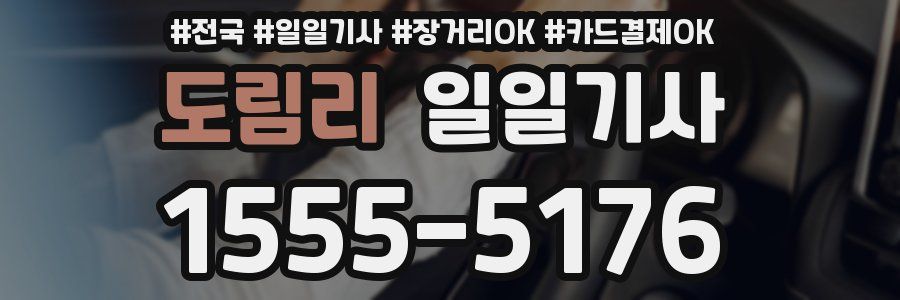 도림리 일일기사