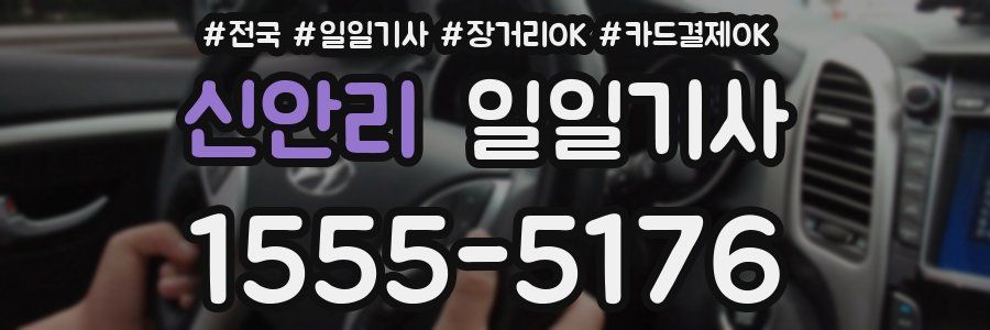 신안리 일일기사