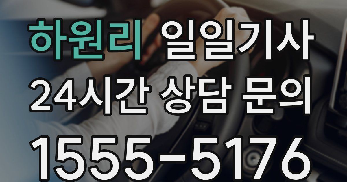 일일대리기사