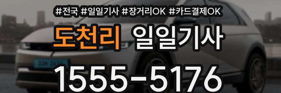 도천리 일일기사