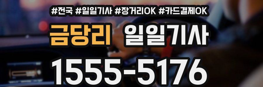 금당리 일일기사