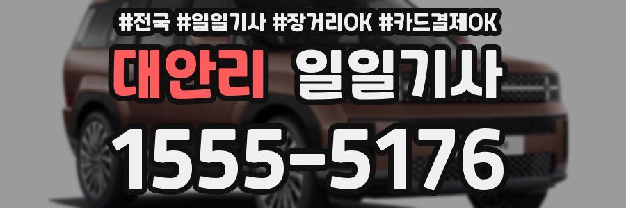 대안리 일일기사