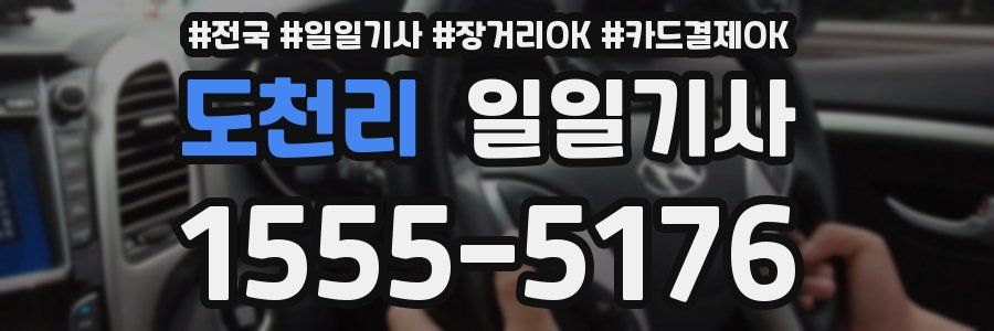 도천리 일일기사