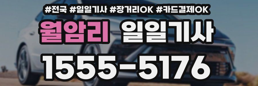 월암리 일일기사