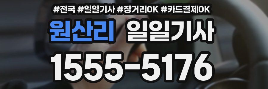 원산리 일일기사