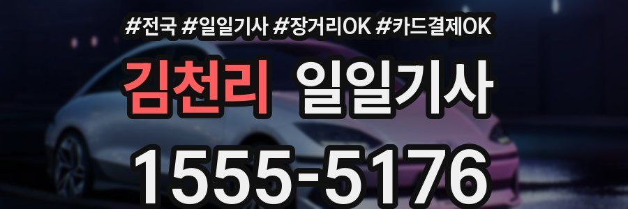 김천리 일일기사