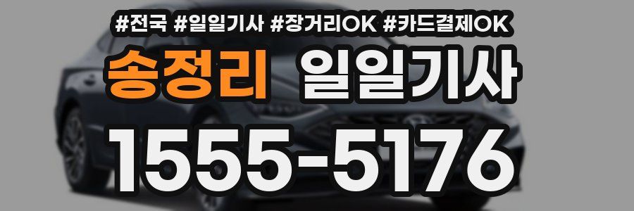 송정리 일일기사