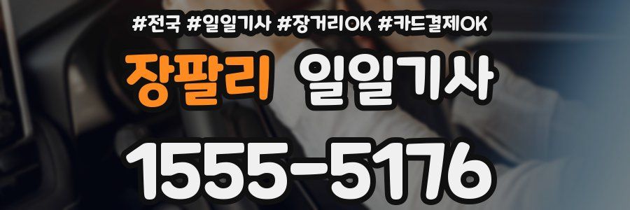 장팔리 일일기사
