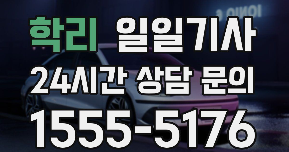 일일대리기사