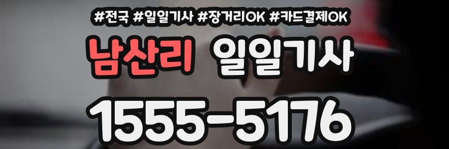 남산리 일일기사