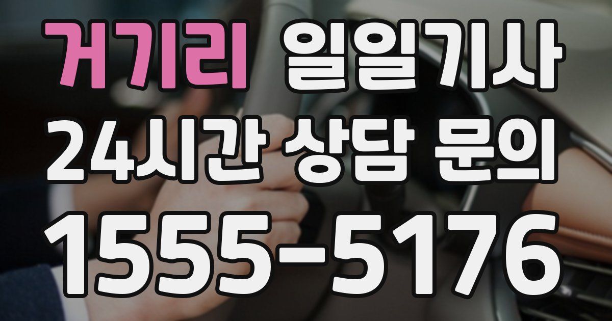 일일대리기사