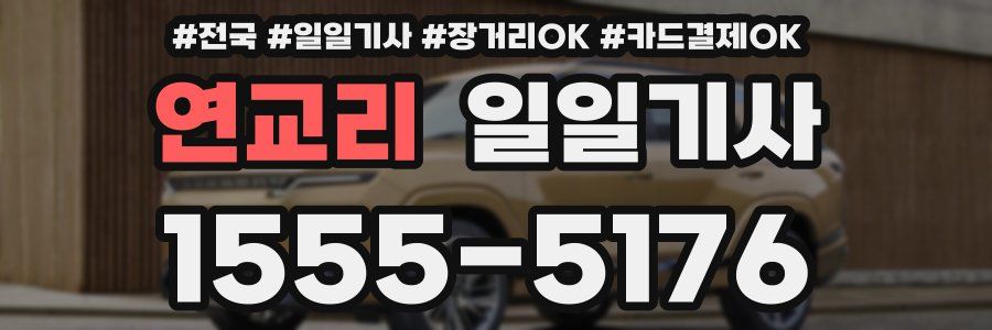 연교리 일일기사