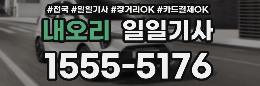 내오리 일일기사