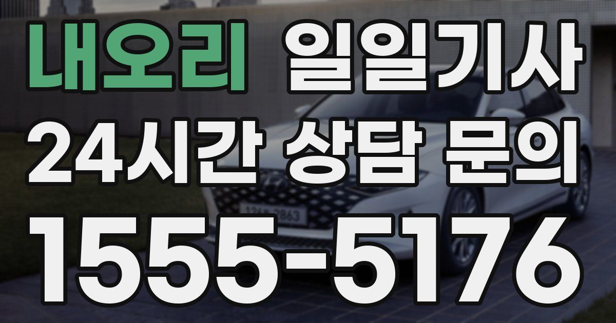 일일대리기사