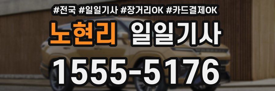 노현리 일일기사