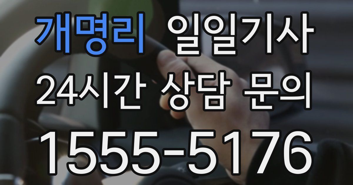 일일대리기사