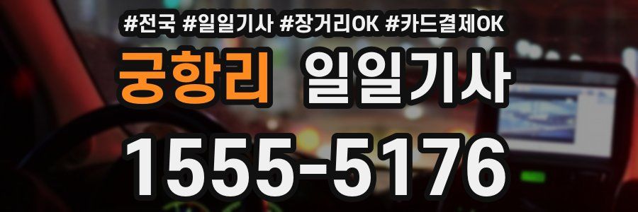 궁항리 일일기사