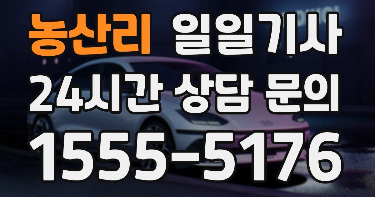 일일대리기사