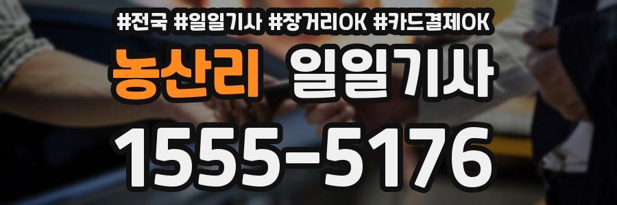농산리 일일기사