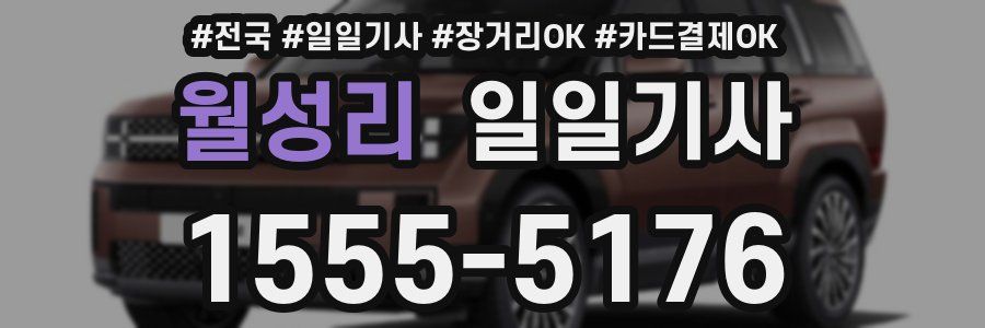 월성리 일일기사
