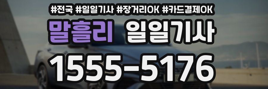 말흘리 일일기사