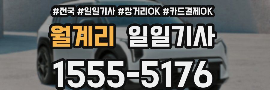 월계리 일일기사