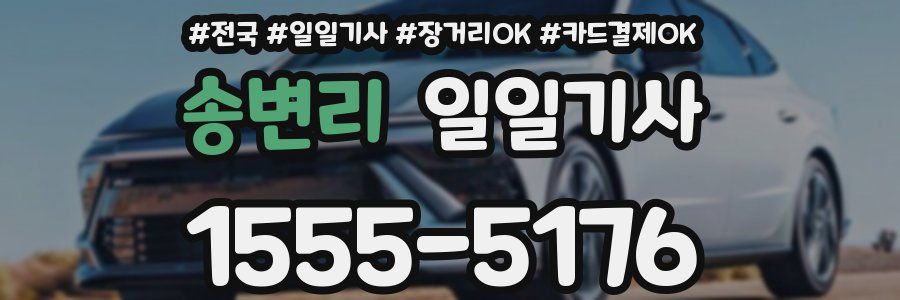 송변리 일일기사