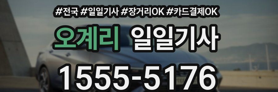 오계리 일일기사