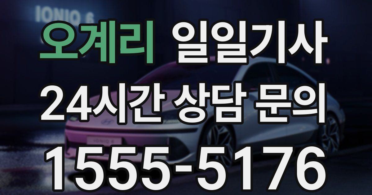 일일대리기사