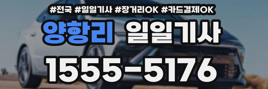 양항리 일일기사