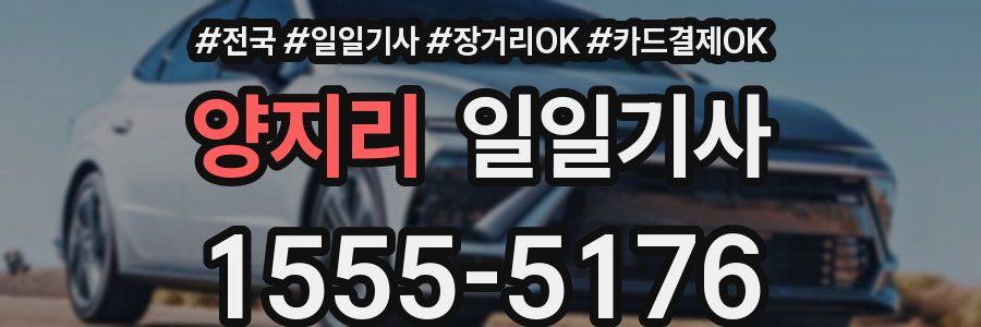 양지리 일일기사