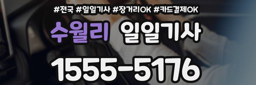 수월리 일일기사