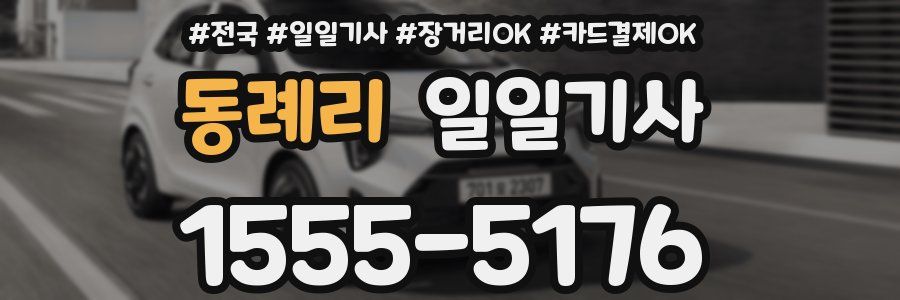 동례리 일일기사